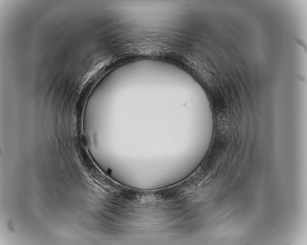 X0000096140587200802081350