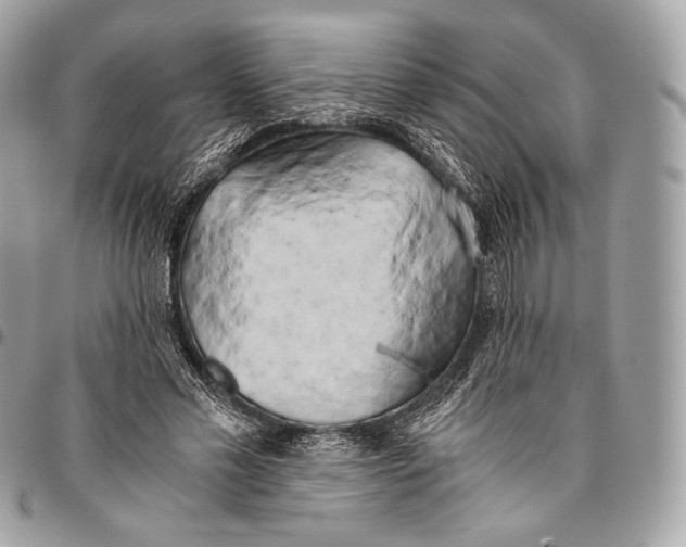X0000096140589200802081350