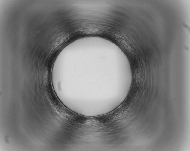 X0000096140591200802081350