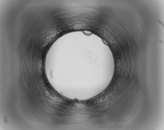 X0000096140592200802081350