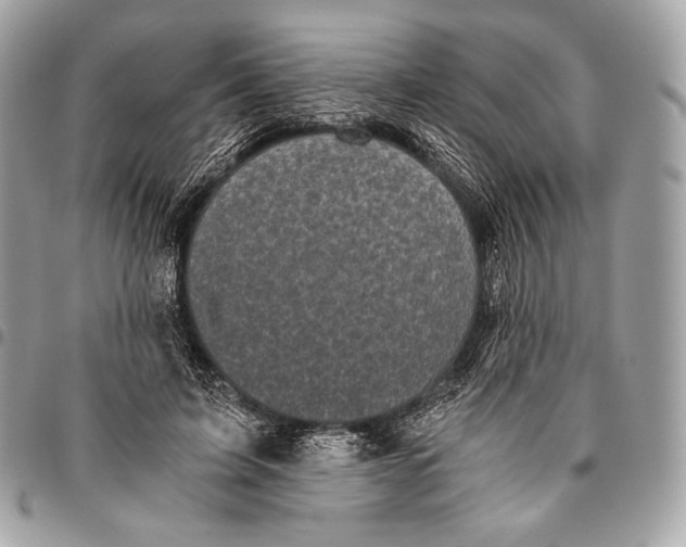 X0000096140595200802081350