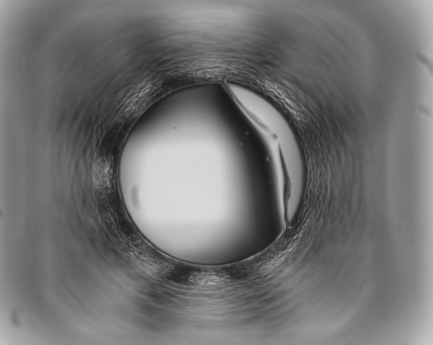 X0000096140597200802081350