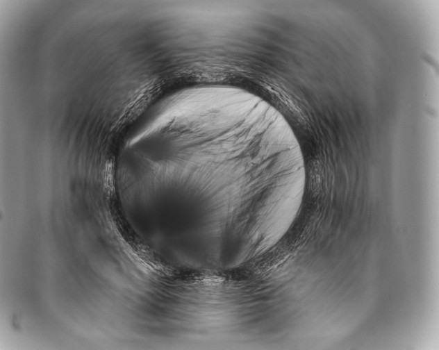 X0000096140598200802081350