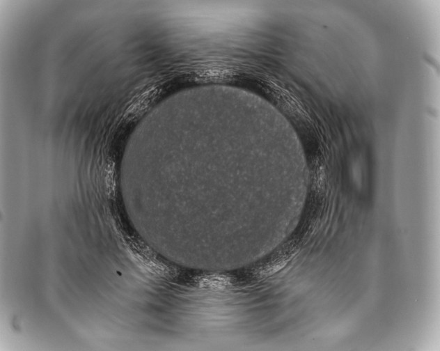 X0000096140599200802081350