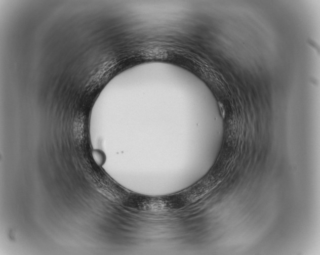X0000096140600200802081350