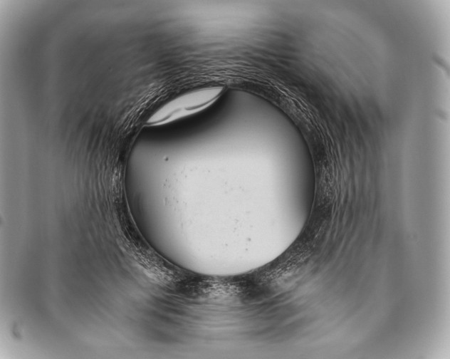X0000096140601200802081350