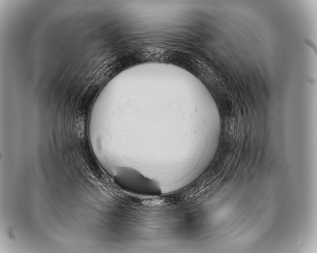 X0000096140602200802081350