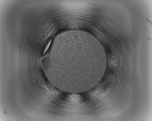 X0000096140603200802081350