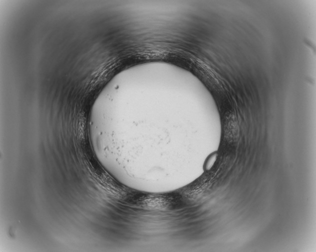 X0000096140604200802081350