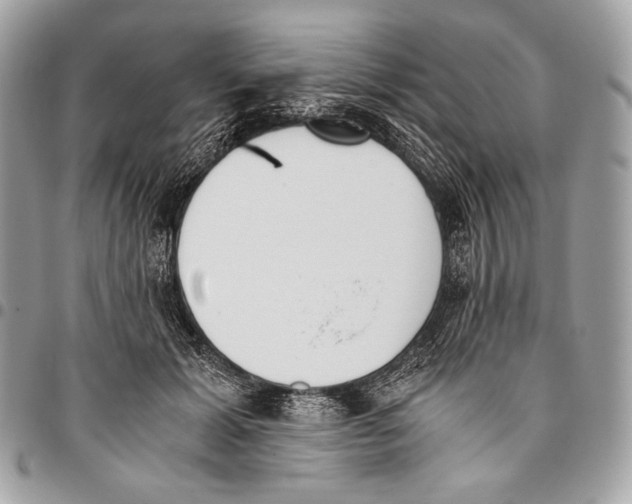 X0000096140605200802081350