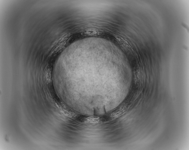 X0000096140606200802081350