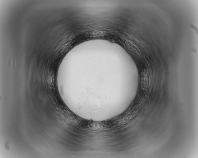 X0000096140608200802081350