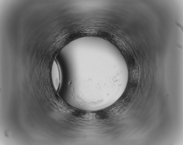 X0000096140609200802081350