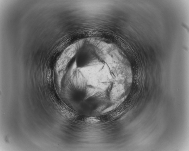 X0000096140610200802081350