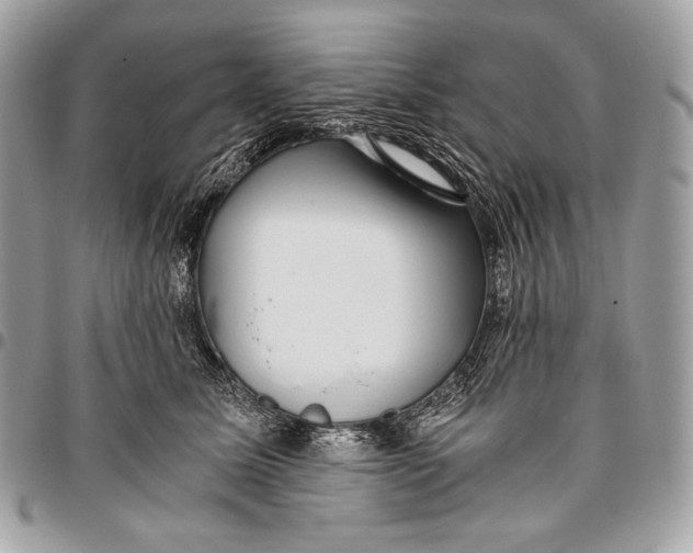 X0000096140611200802081349