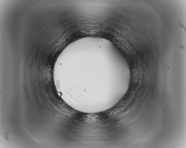 X0000096140612200802081349