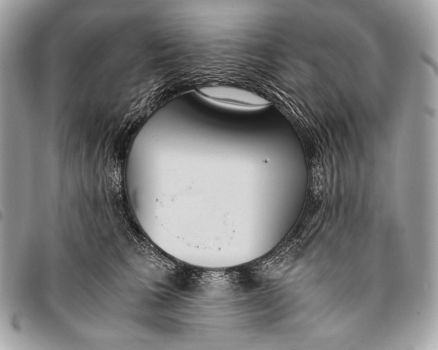 X0000096140613200802081349