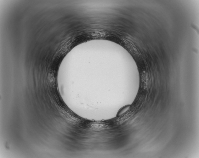 X0000096140614200802081349