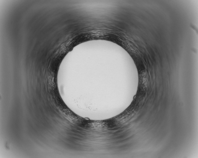 X0000096140615200802081349