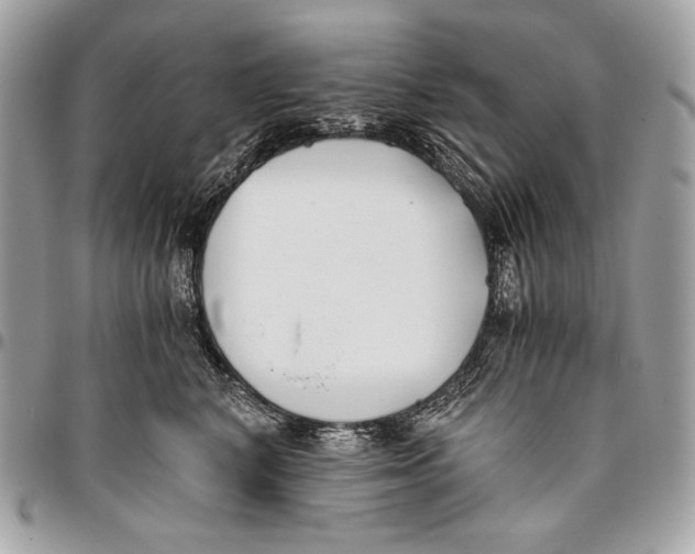 X0000096140616200802081349