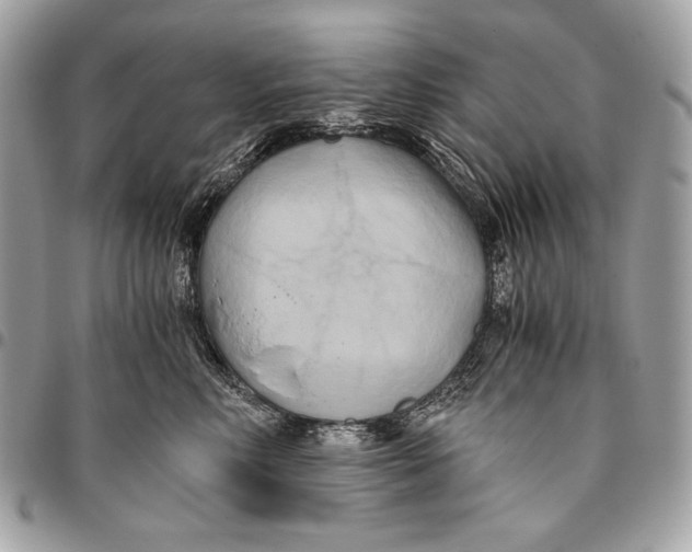 X0000096140618200802081349