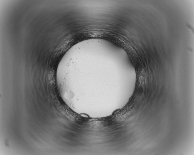X0000096140620200802081349