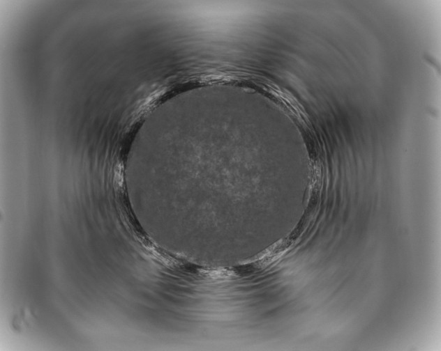 X0000096140621200802081349