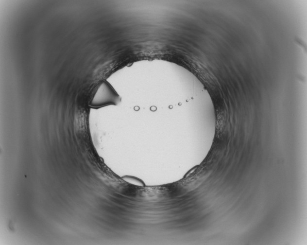X0000096140623200802081349
