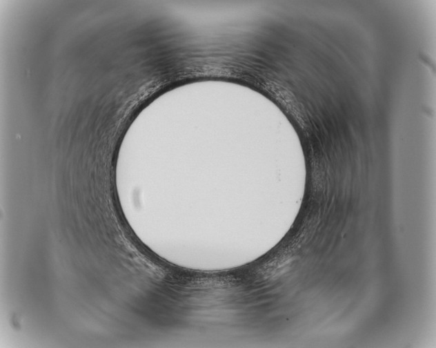 X0000096140625200802081348