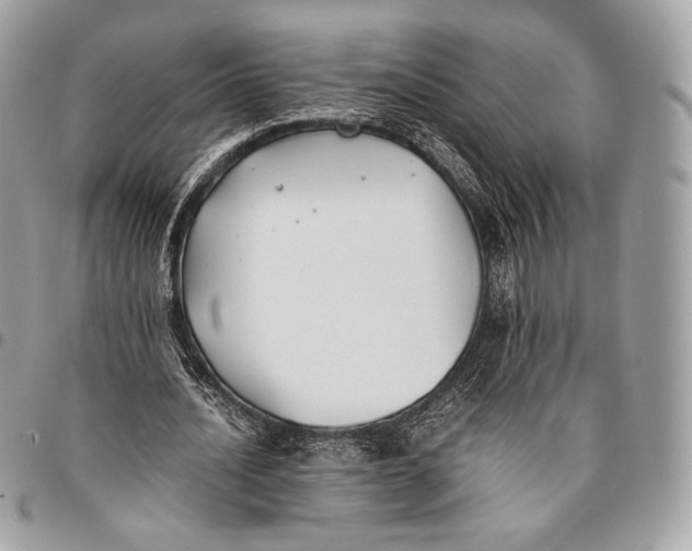 X0000096140628200802081349
