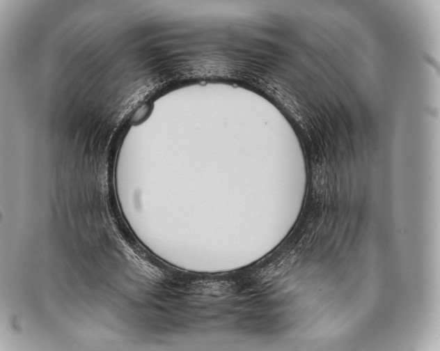 X0000096140629200802081349