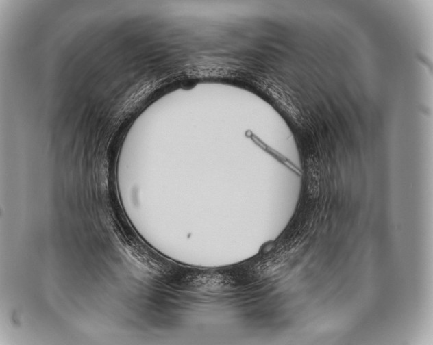 X0000096140631200802081349