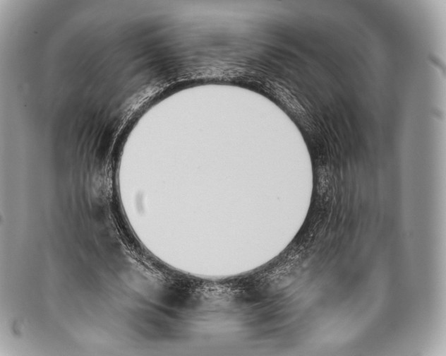 X0000096140632200802081349