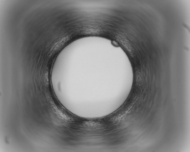 X0000096140633200802081349