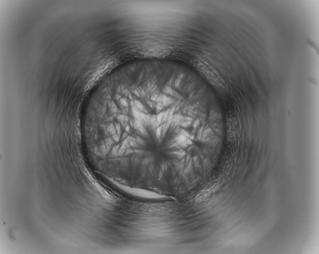 X0000096140634200802081349