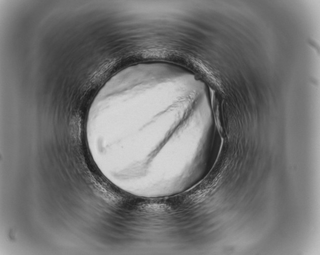 X0000096140637200802081349
