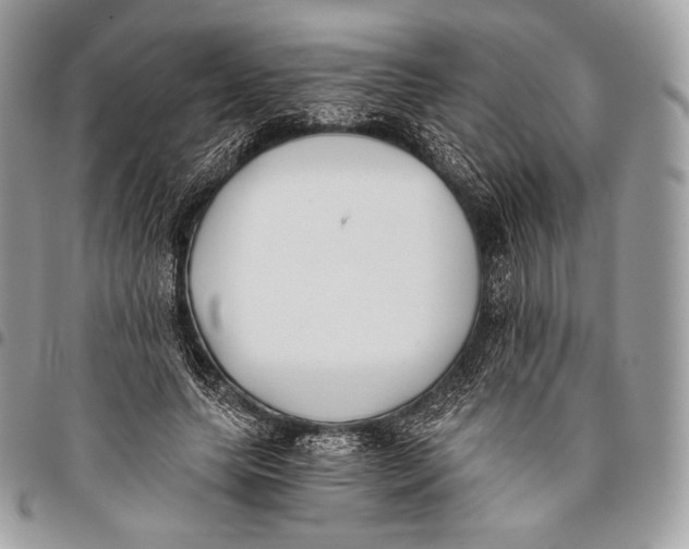 X0000096140639200802081349
