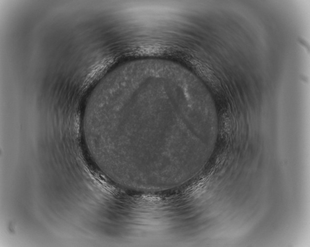 X0000096140640200802081349