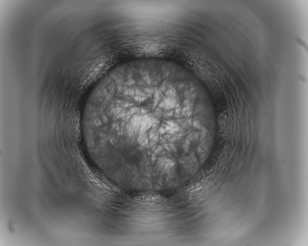 X0000096140642200802081349