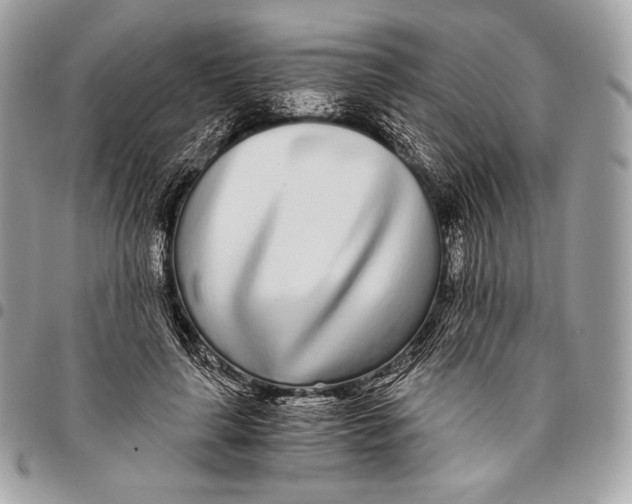 X0000096140643200802081349