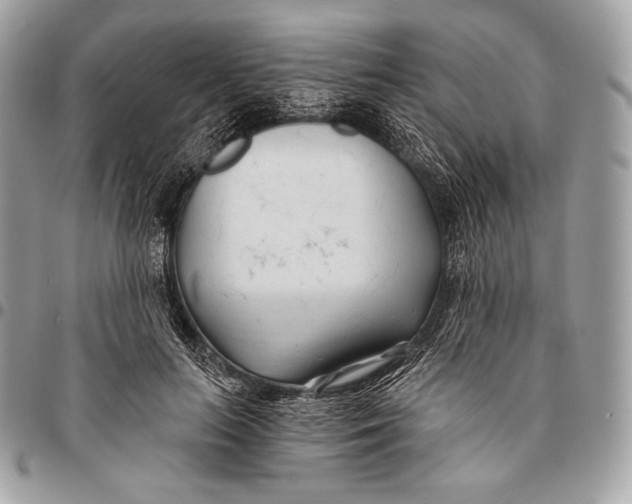 X0000096140647200802081349