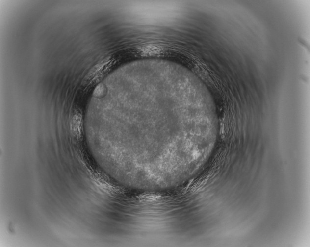 X0000096140648200802081349