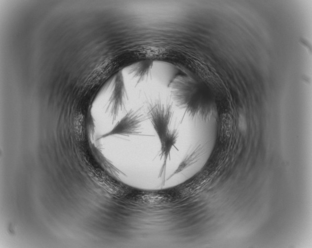 X0000096140650200802081349