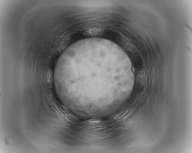 X0000096140651200802081349