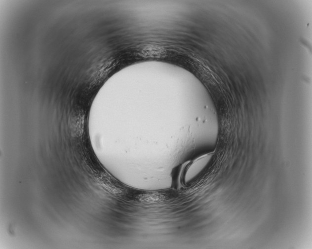 X0000096140652200802081349