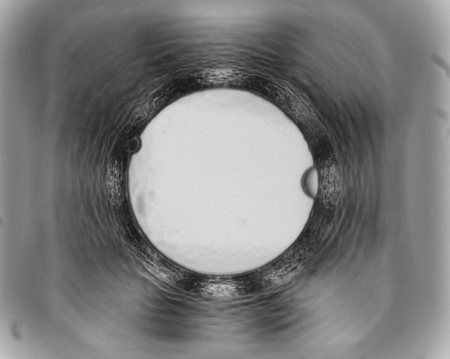 X0000096140653200802081349
