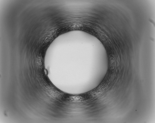 X0000096140654200802081349