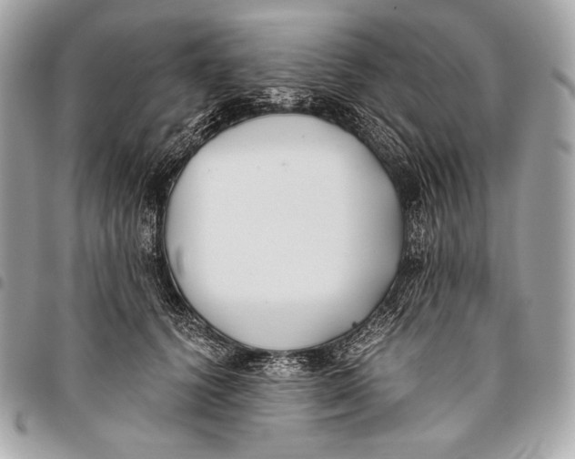 X0000096140656200802081349