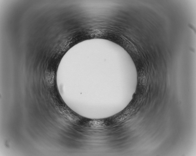 X0000096140660200802081349