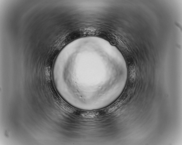 X0000096140661200802081349